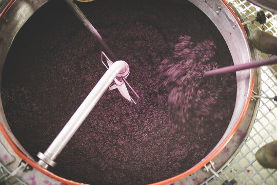 Red Wine Grape Must Being Stirred in Steel Fermentation Tank