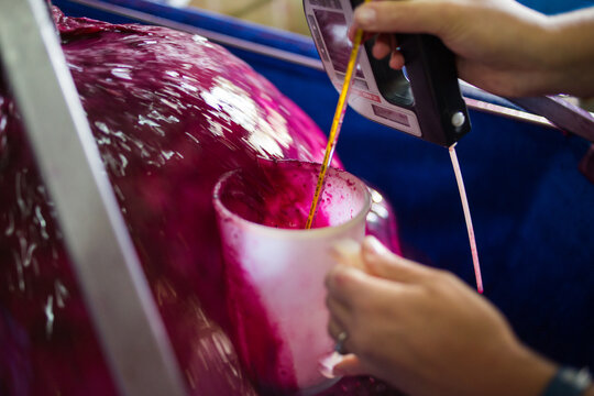 Red Wine Grape Juice Pouring into Bucket During Winemaking