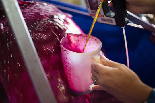 Collecting Red Wine Grape Juice During Crush at Winery