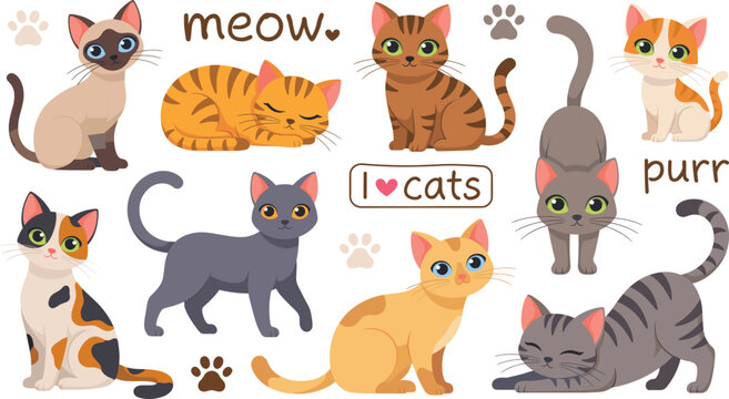 Cute cartoon cats and kittens vector illustration set with various breeds characters poses text elements and paw prints for pet design.
