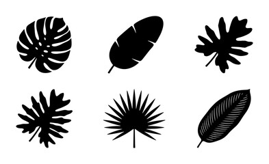 Tropical Leaf Silhouettes, Exotic Plant Icons, Botanical Vector Set, Jungle Foliage Graphics, Black and White Nature Elements © Tanvir