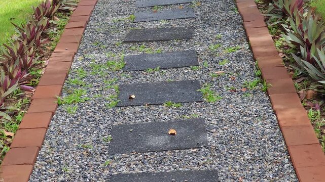 The path leading to the backyard garden.