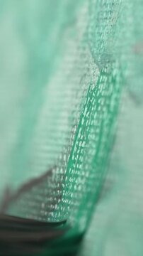 A close-up of a brush bristling with green paint on a canvas leaving brushstrokes of oil paint on a white canvas. The artist is making the first brushstrokes of the paint