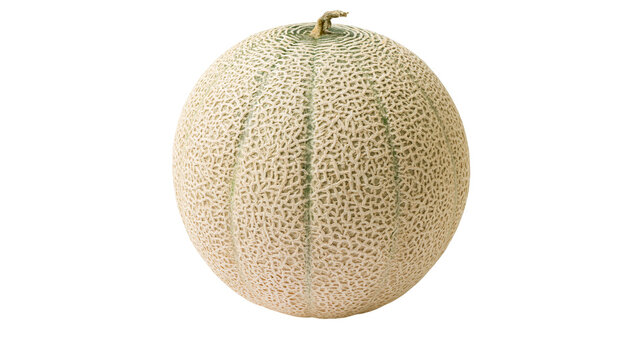 Whole cantaloupe melon with textured rind and stem