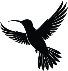 Fototapeta premium Black flying hummingbird silhouette vector illustration, wild nature small bird animal graphic design, isolated on pure white background eps art