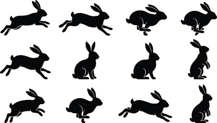 Black rabbit silhouette set, jumping running sitting hare poses, wild animal vector eps 10 illustration isolated on white background design © Mdjoshel 