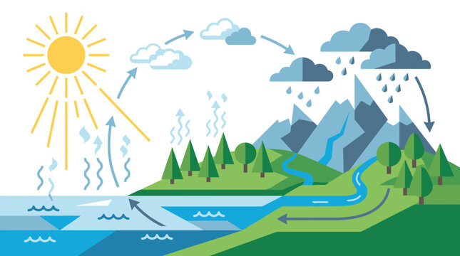 Illustrated Water Cycle Showing Evaporation Condensation Precipitation Runoff.