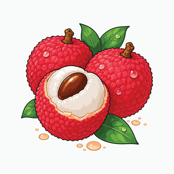 Crisp and vibrant lychee vector illustration