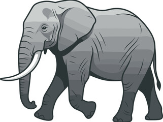 Fototapeta premium Gray African elephant vector illustration, walking wild animal graphic design, isolated safari wildlife art, large mammal nature icon with tusks