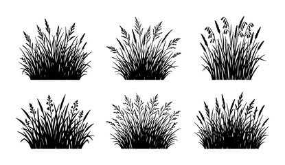 Set of Six Black and White Vector Grass Clumps, Tall Reeds and Wild Grasses, Botanical Elements for Nature Designs © Mahiya