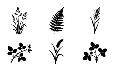 Fototapeta premium Botanical Silhouettes Collection: Grasses, Fern, Bramble, Wheat, Clover, Vector Icons for Nature Designs, Organic Graphics, and Garden Themes