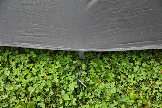 Tent peg in the lawn. Camping tent pin with elastic fixing. Wet camping tent flysheet with raindrops.