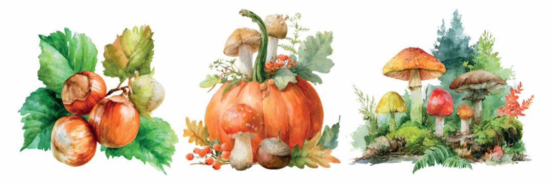 Watercolor triptych of autumn harvest, hazelnuts on green leaves, a pumpkin with wild mushrooms and berries, and colorful forest mushrooms with moss and trees