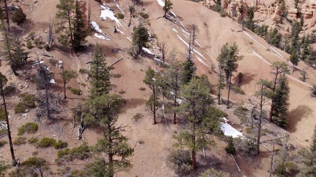 Drone Shot of Dixie National Forest Hills with Snow