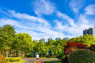 Urban Park with City Skyline and Green Trees © LamQuang