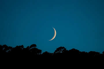 Luna norcturna © Alba