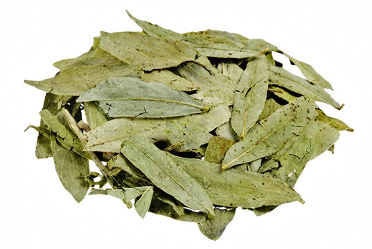 Pile of dried senna leaves for herbal tea