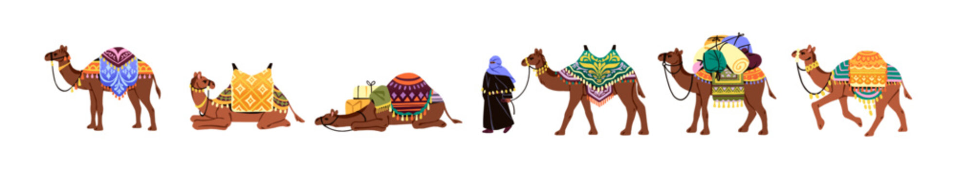 Camels with saddle blankets with colourful patterns set. Animals of deserts carry bags. Dromedaries have a rest, travel and sleep in african wilderness. Flat isolated vector illustration on white