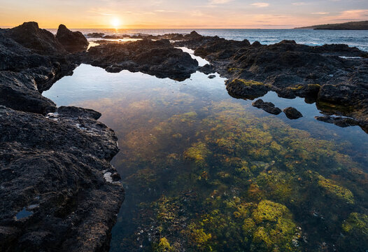 A scenic coastal view at sunrise featuring dark volcanic rock formations, clear tide pools with green algae, and the vast ocean on the horizon