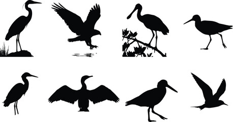 Fototapeta premium Water bird silhouette collection featuring heron wading birds and flying wildlife illustrations