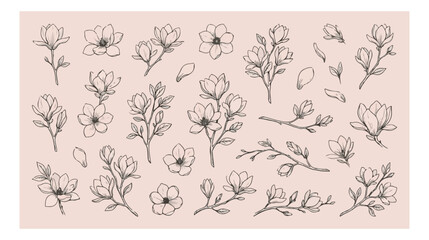 Vintage magnolia flower line art collection, hand drawn botanical floral sketches, elegant black ink blossoms on pink background vector set © xantii