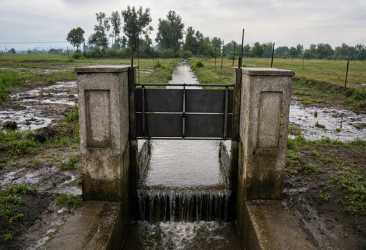 Small concrete sluice gate controlling water flow in a narrow irrigation canal through a green rural landscape with trees under a cloudy sky
