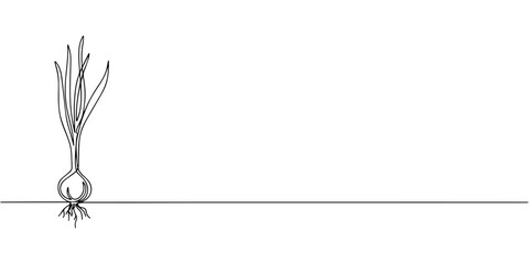 onion  continuous one line drawing, onion stalk continuous one line drawing, Leeks, fresh onion stalk illustration, background. One line drawing art illustration with lettering organic leeks, Fresh  © Line sA