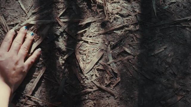 Hand with blue nail polish gently presses into forest soil. Dried leaves and twigs scatter across earthy ground. Sunlight filters through overhead tree branches