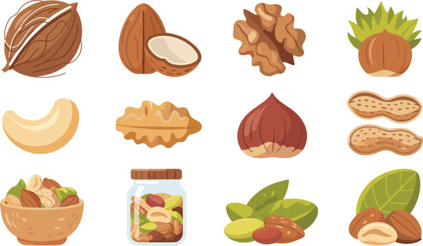 Healthy Nut Vector Icon Set Featuring Almond, Cashew, Walnut, Hazelnut, and Pistachio Clusters with Jar and Bowl Graphics for Culinary and Packaging Designs