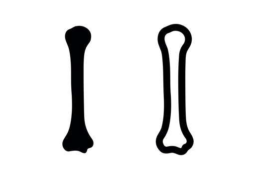 Bone silhouette and outline icons, vector illustration on white background