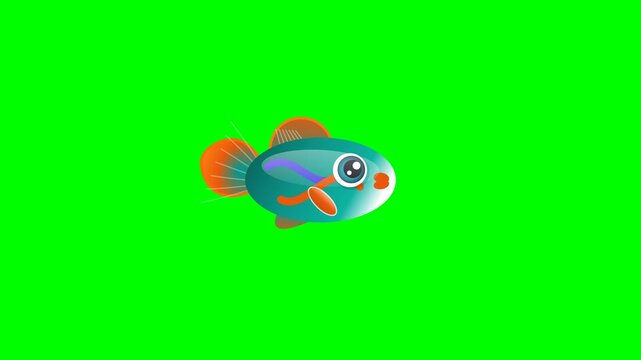 High quality 4K fish footage on green screen background with gentle movement. The green elements are clearly separated for professional keying and video editing.