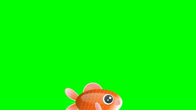 Seamless goldfish animation on chroma key green screen background featuring smooth motion. Versatile stock clip with green, gold tones for microstock and broadcast distribution.