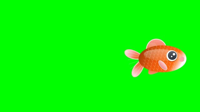 Seamless fish animation on chroma key green screen background featuring flying motion. Versatile stock clip with green, gold tones for microstock and broadcast distribution.