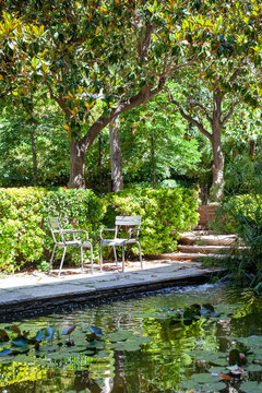 A tranquil garden scene featuring a small pond with blooming water lilies, comfortable chairs beside the water, lush green hedges, and mature magnolia trees creating natural shade. 