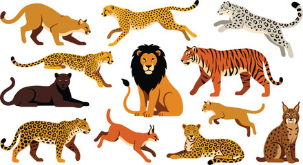 Wild big cats cartoon vector set featuring lion tiger leopard cheetah panther jaguar cougar caracal lynx running sitting isolated on white background © Mifta