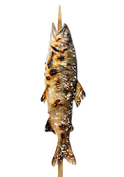 お祭りの屋台の鮎の塩焼き 串刺し 縦向き 背景透過素材 / Grilled sweetfish Ayu with salt on a skewer Japanese festival stall food cutout isolated
