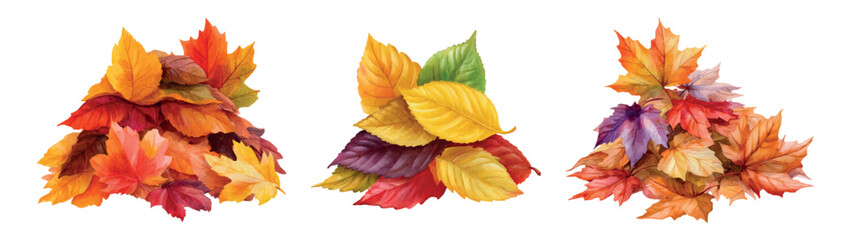 Fototapeta premium Three separate piles of vibrant autumn foliage watercolor illustrations featuring a mix of maple leaves and other seasonal elements