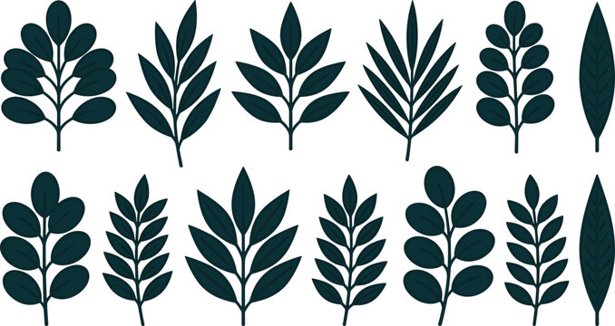 Set of flat dark green leaf silhouettes and tropical plant branches isolated on a white background
