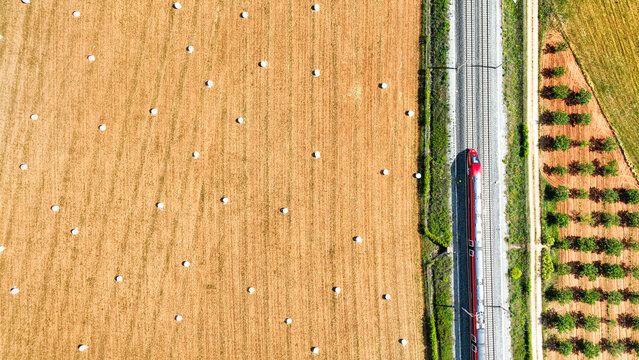 Composici&oacute;n con tren y cebada cosechada
