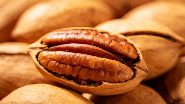 Close Up of Cracked Pecan Nut and Shelled Pecans