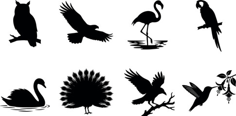 Obraz premium Bird Silhouettes Collection with Owl Eagle Flamingo Parrot Swan Peacock Crow and HummingbirdBird Silhouettes Collection with Owl Eagle Flamingo Parrot Swan Peacock Crow and Hummingbird