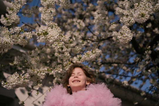 Girl in pink bolero under cherry tree