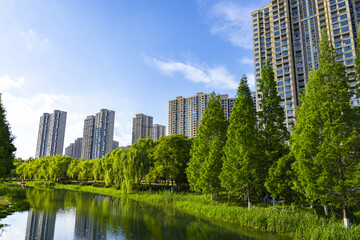 Fototapeta premium Urban Park River and High-Rise Apartments Under Blue Sky