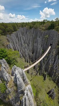 bridge tsingy de bemaraha, national park Madagascar