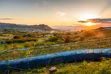 Obraz premium Dramatic sunset over a fertile valley with cultivated fields in the mountains in autumn. Lens flare. Nagano, Japan