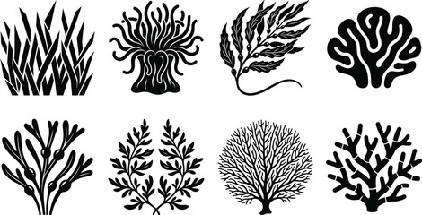 Underwater Coral Reef and Seaweed Silhouette Set Featuring Marine Algae Kelp and Ocean Plants Vector Icons © MstMahurun