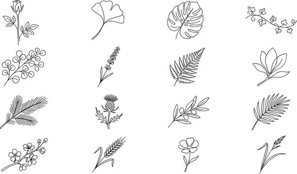 Elegant simple flower and leaf outline drawings bundle with monstera palm fern wheat thistle and eucalyptus twigs for aesthetic branding logo layout design