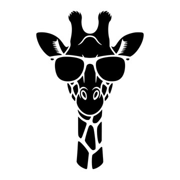 Giraffe Wearing Sunglasses