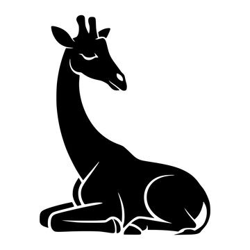 Sleeping Giraffe