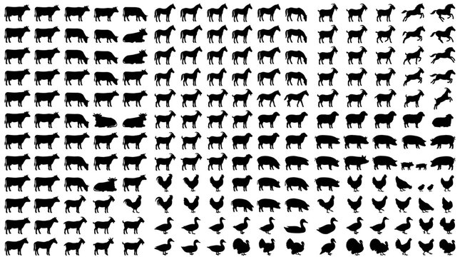 Repeating Pattern of Black and White Cow Print Texture on Fabric Background